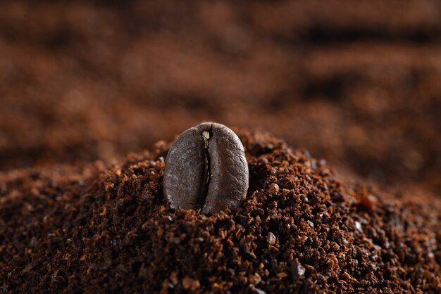 Close-up de um grão de café