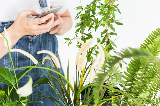 Foto grátis close-up, de, um, mão mulher, segurando, smartphone, perto, plantas