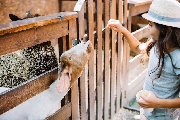 Foto grátis close-up, de, um, menina, alimento alimentação, para, cabra, espreitar, de, cerca