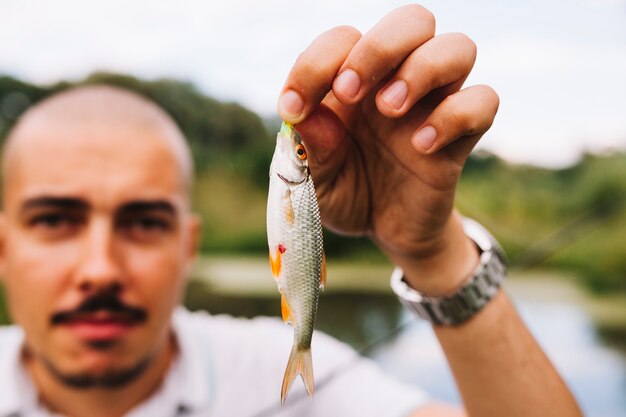 Close-up, de, um, pescador, segurando, recentemente, pegado, peixe