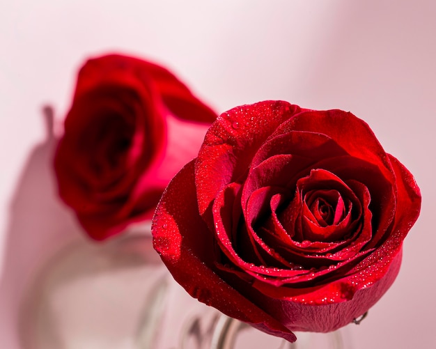 Foto grátis close-up do conceito de dia dos namorados com rosas