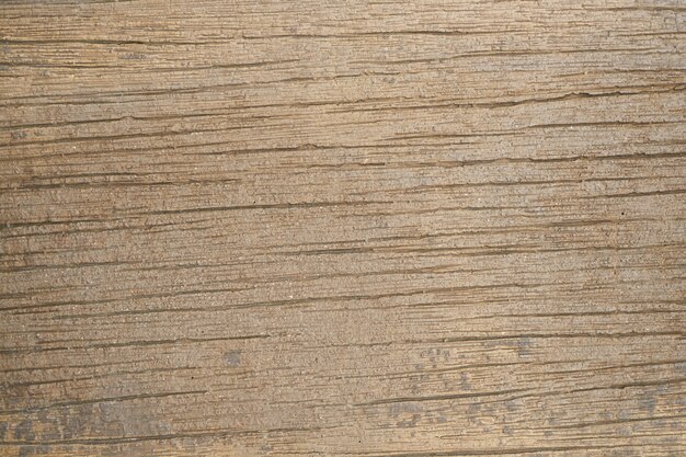 Close up do fundo de madeira da prancha textura