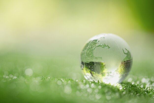 Close up do globo de cristal descansando na grama em uma floresta