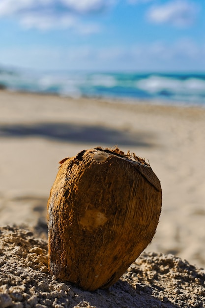 Close vertical de um coco na areia com um fundo desfocado