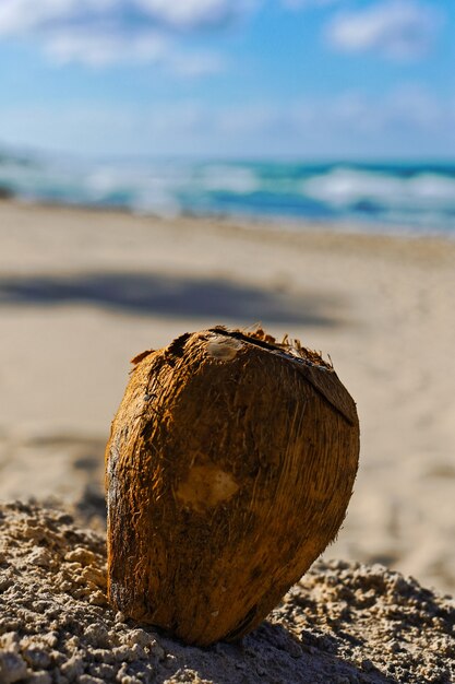 Close vertical de um coco na areia com um fundo desfocado