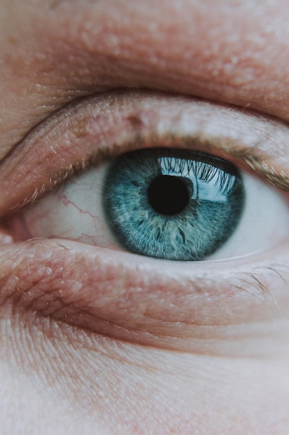 Close vertical do olho azul-claro de um humano idoso