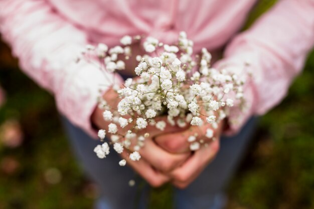 Closeup, de, pequeno, flores brancas