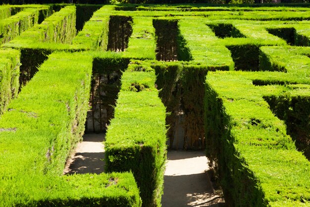 Closeup of Labyrinth at Parc del Laberint