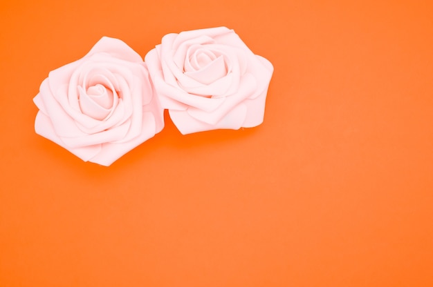 Closeup tiro de duas rosas rosa isoladas em um fundo laranja com espaço de cópia