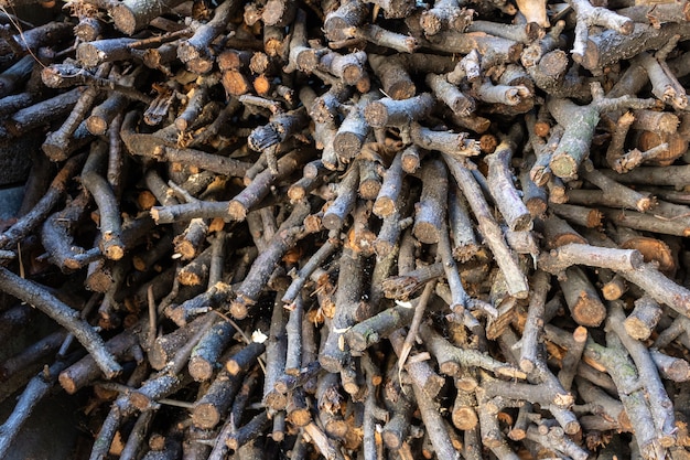 Closeup tiro de toras de árvores cortadas e secas organizadas em uma grande pilha