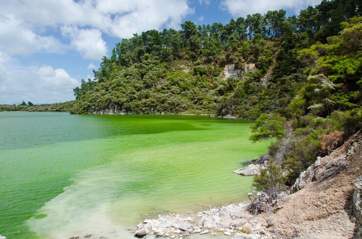 Foto grátis closeup tiro de um lago termal em wai-o-tapu, rotorua, nova zelândia