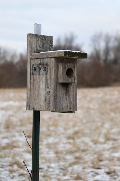 Closeup tiro de uma caixa de madeira para nidificação de pássaros