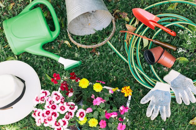 Cobrança, de, equipamento jardinagem, ligado, capim