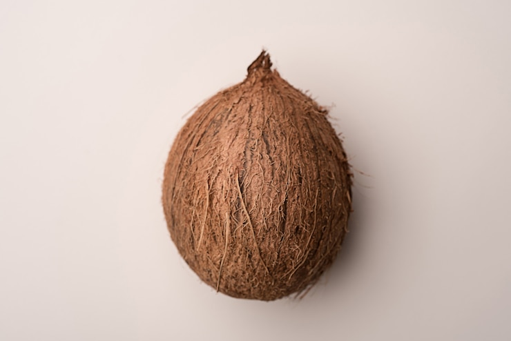 Foto grátis coco isolado sobre o branco