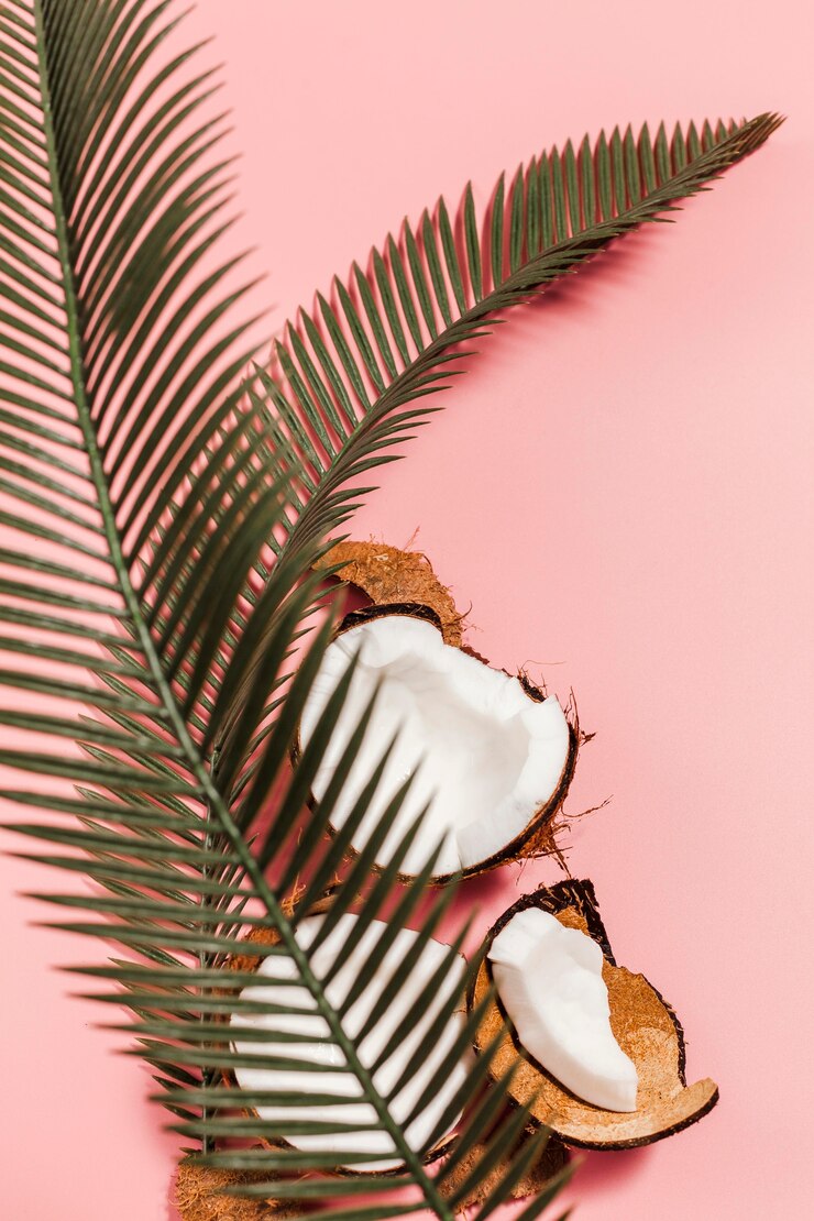 Foto grátis cocos de vista superior com planta
