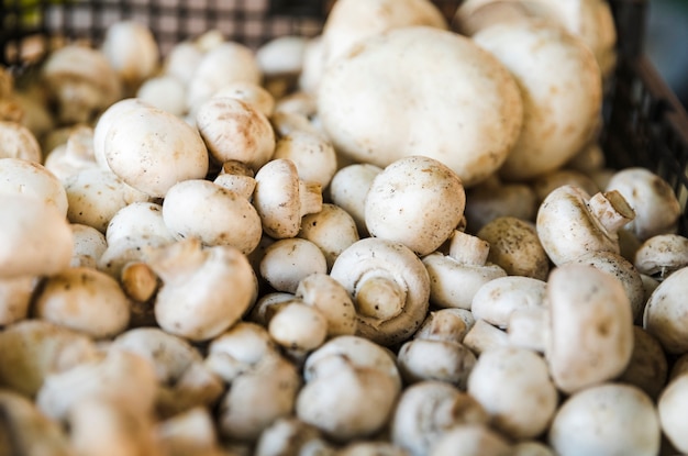 Cogumelo de botão cultivado para a venda no mercado da mercearia