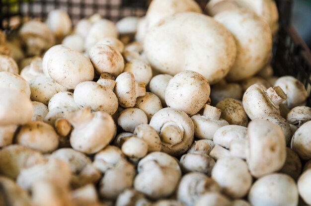 Cogumelo de botão cultivado para a venda no mercado da mercearia