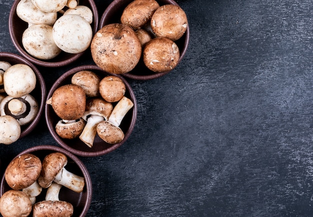 Cogumelos brancos e marrons em muitas tigelas