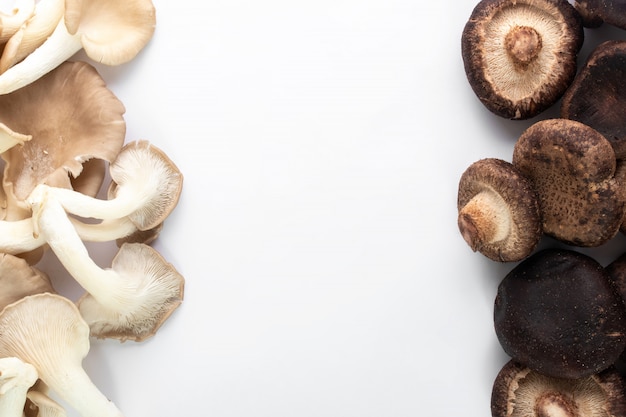 Foto grátis cogumelos brancos e marrons frescos dos cogumelos recolhidos no fundo branco