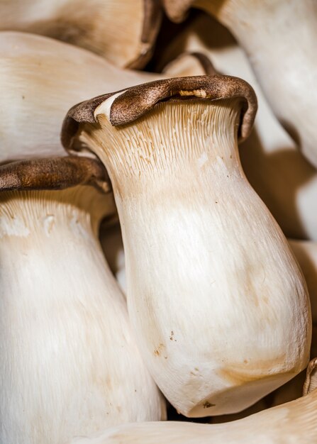 Cogumelos frescos e apenas colhidos para vendas