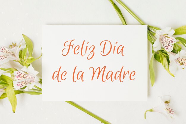 Colagem de saudações para o Dia da Mãe.