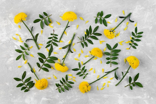 Coleção de flores na mesa