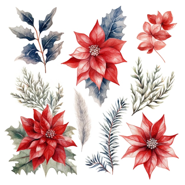 Coleção de folhas e flores de natal em aquarela