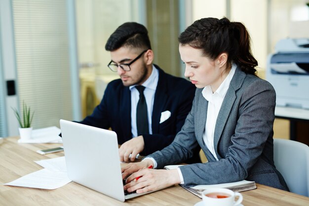 Colegas de trabalho ocupados