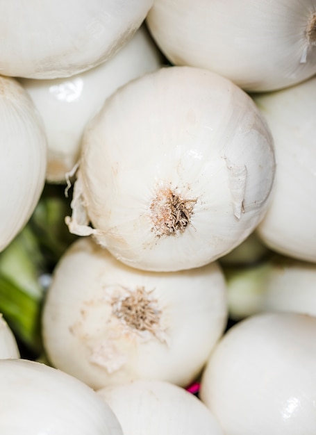 Foto grátis colheita natural de cebolas frescas pelos agricultores