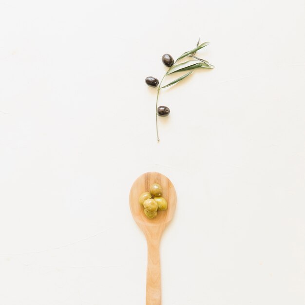 Colher com azeitonas e ramo de oliveira