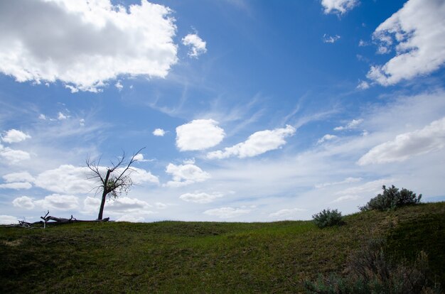 Colina alta coberta de grama e árvores sob o céu azul nublado