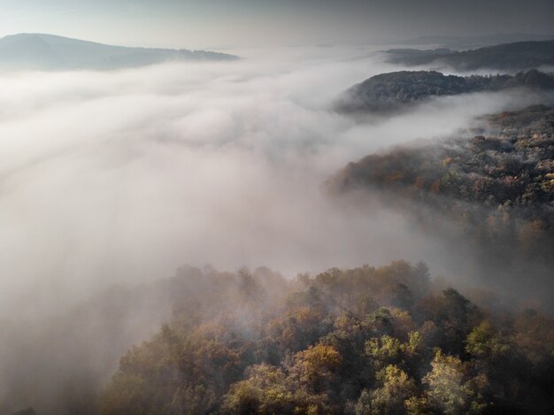 colinas arborizadas, rodeadas de nevoeiro sob um céu nublado