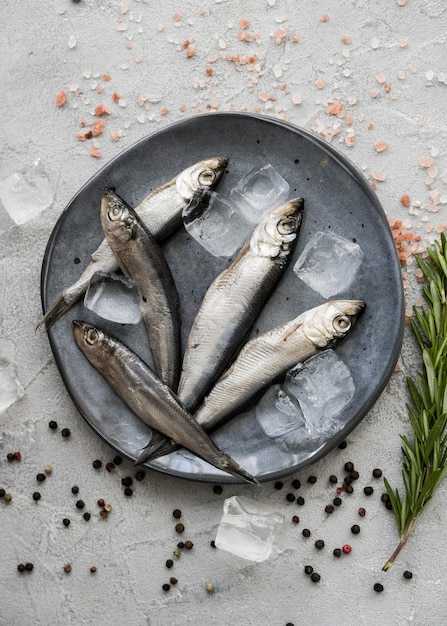 Foto grátis coloque o peixe no prato com cubos de gelo