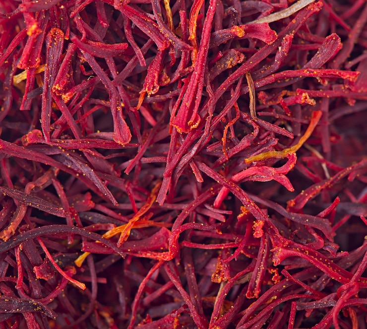 Foto grátis comida de ervas fechar