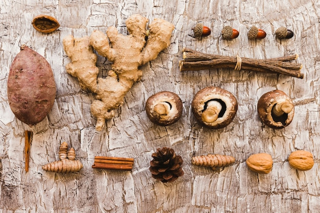 Foto grátis comida de outono sortida e partes da árvore