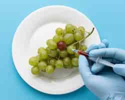 Foto grátis comida deliciosa de uvas gmo modificada