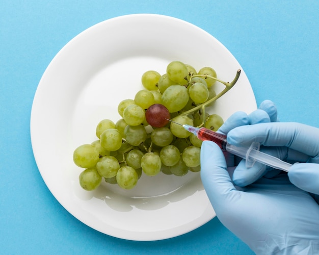 Comida deliciosa de uvas gmo modificada