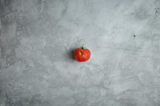 Comida feia. tomate estragado em um fundo cinza de concreto. vista do topo.