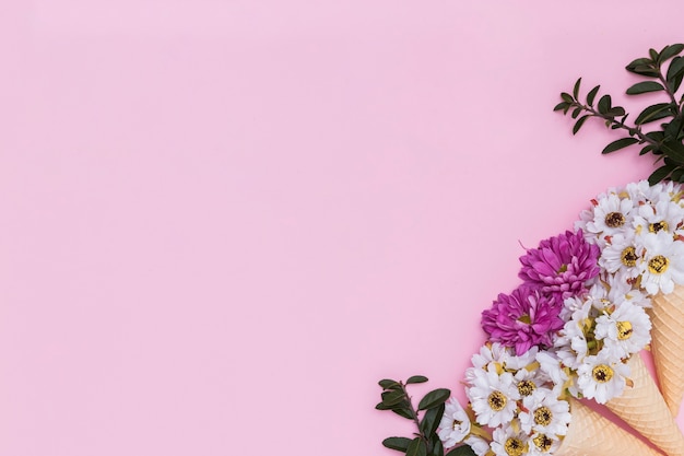 Foto grátis composição bonita de flores e cones