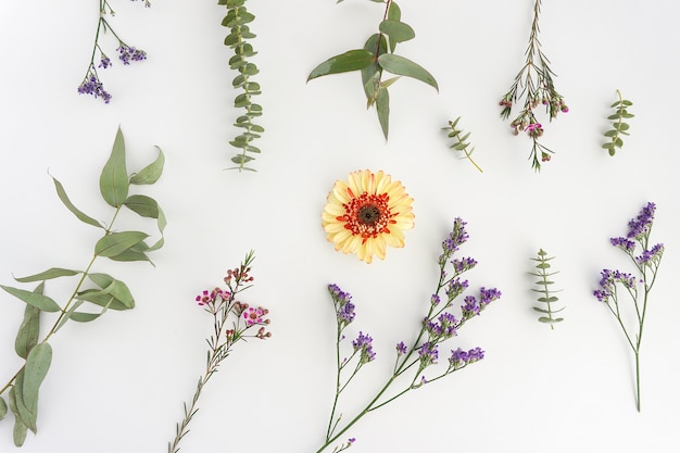 Composição bonita de flores na superfície branca