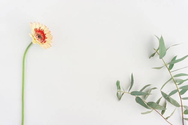 composição bonito da flor com detalhes laranja e folhas