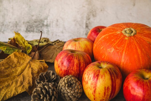 Composição com abóbora e folhas murchas