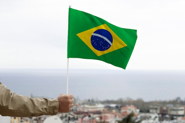 Foto grátis composição da bandeira brasileira