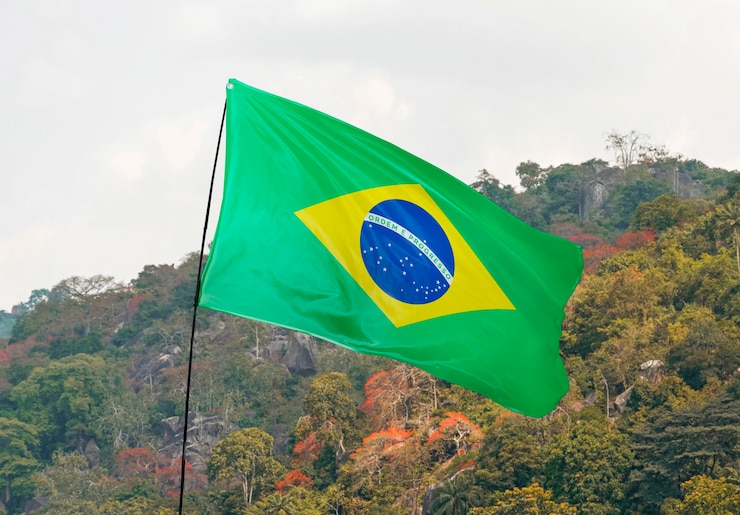 Foto grátis composição da bandeira brasileira