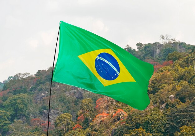 Composição da bandeira brasileira