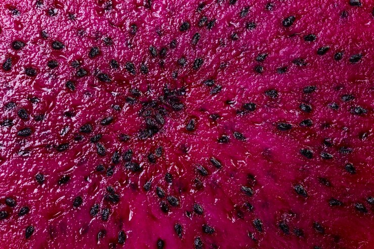 Foto grátis composição da deliciosa e exótica fruta do dragão