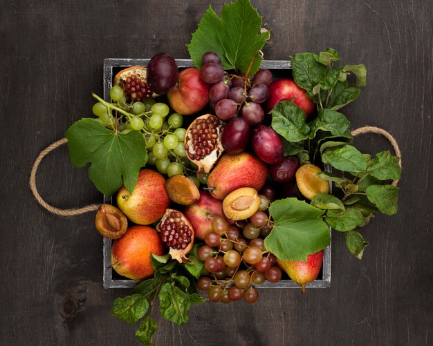 Composição da vista superior de deliciosas frutas de outono