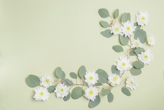 Foto grátis composição das cabeças e folhas das flores