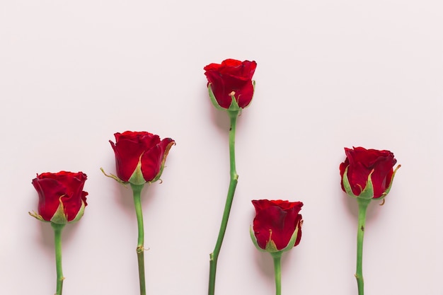 Foto grátis composição das rosas vermelhas