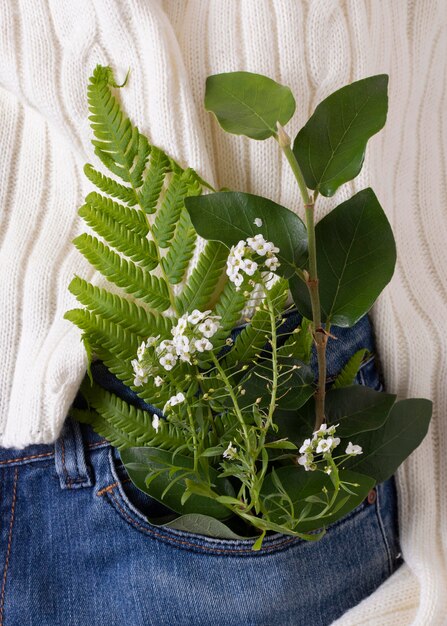 Composição de elementos de estilo de vida sustentável de naturezas mortas